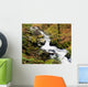 River With Fallen Autumn Leaves In The Forest Wall Mural