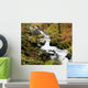 River With Fallen Autumn Leaves In The Forest Wall Mural