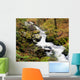 River With Fallen Autumn Leaves In The Forest Wall Mural