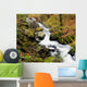 River With Fallen Autumn Leaves In The Forest Wall Mural