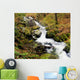 River With Fallen Autumn Leaves In The Forest Wall Mural