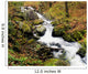 River With Fallen Autumn Leaves In The Forest Wall Mural