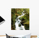 River With Trees In The Forest Wall Mural