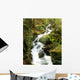 River With Trees In The Forest Wall Mural