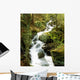 River With Trees In The Forest Wall Mural