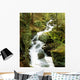 River With Trees In The Forest Wall Mural