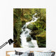 River With Trees In The Forest Wall Mural