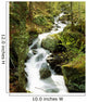 River With Trees In The Forest Wall Mural
