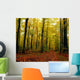 Trees With Autumn Leaves In The Forest Wall Mural