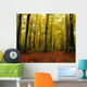 Trees With Autumn Leaves In The Forest Wall Mural