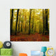 Trees With Autumn Leaves In The Forest Wall Mural