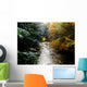 Forest With Creek Running Through It Wall Mural