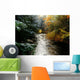 Forest With Creek Running Through It Wall Mural