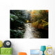 Forest With Creek Running Through It Wall Mural