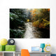 Forest With Creek Running Through It Wall Mural