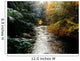 Forest With Creek Running Through It Wall Mural