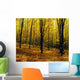 Forest In Autumn With Trees Wall Mural