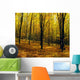 Forest In Autumn With Trees Wall Mural