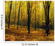Forest In Autumn With Trees Wall Mural