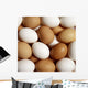 Eggs Wall Mural