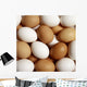 Eggs Wall Mural