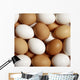 Eggs Wall Mural
