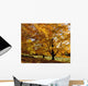 Fall Colours In Eastern Townships, Quebec, Canada Wall Mural