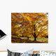 Fall Colours In Eastern Townships, Quebec, Canada Wall Mural