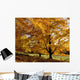 Fall Colours In Eastern Townships, Quebec, Canada Wall Mural