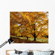 Fall Colours In Eastern Townships, Quebec, Canada Wall Mural