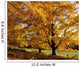 Fall Colours In Eastern Townships, Quebec, Canada Wall Mural