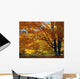 Fall Colours Wall Mural