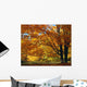 Fall Colours Wall Mural