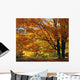 Fall Colours Wall Mural