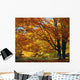 Fall Colours Wall Mural