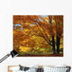 Fall Colours Wall Mural