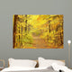 Moody Forest Lane Bright