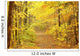Moody Forest Lane Bright