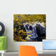 Small Waterfall Among Trees Wall Mural