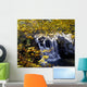 Small Waterfall Among Trees Wall Mural
