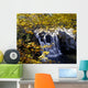 Small Waterfall Among Trees Wall Mural