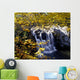 Small Waterfall Among Trees Wall Mural