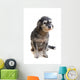 Dog White