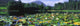 Silent Valley, Mourne Mountains, Ireland Wall Mural