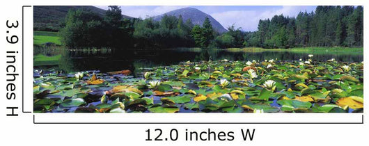Silent Valley, Mourne Mountains, Ireland Wall Mural