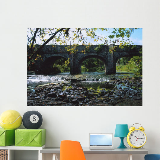 River Annalee, Ballyhaise, Co Cavan, Ireland Wall Mural