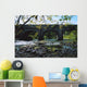 River Annalee, Ballyhaise, Co Cavan, Ireland Wall Mural
