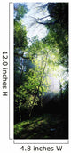 Deciduous Wood, Killarney National Park, Co Kerry, Ireland Wall Mural