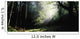 Killarney National Park, Co Kerry, Ireland Wall Mural