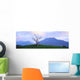 Twelve Bens, Connemara, Co Galway, Ireland Wall Mural